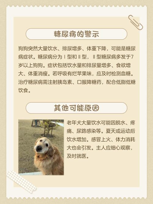狗狗突然频繁喝水是什么原因
