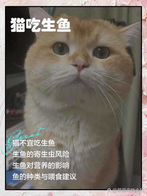猫吃生鱼还是熟鱼