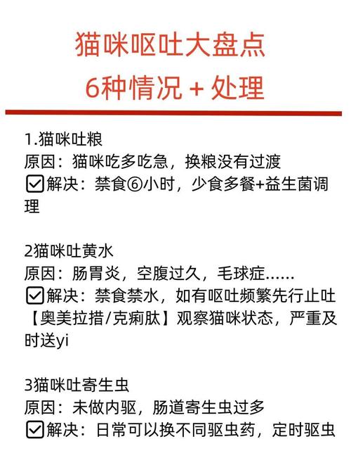 猫咪吃了生鱼后呕吐是怎么回事?猫咪可以吃生鱼吗?