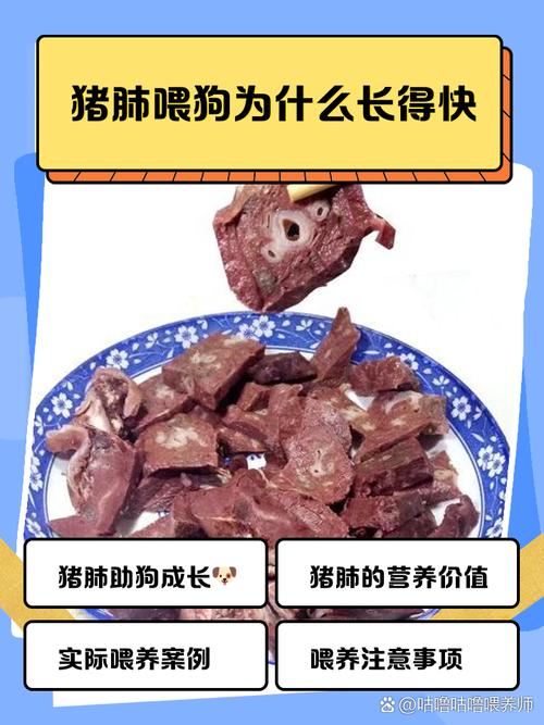 猫吃猪肺好处和坏处?