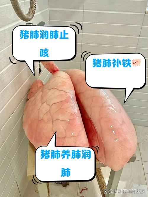 宠物猫能不能吃猪肺