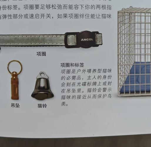 小猫为什么不能带铃铛