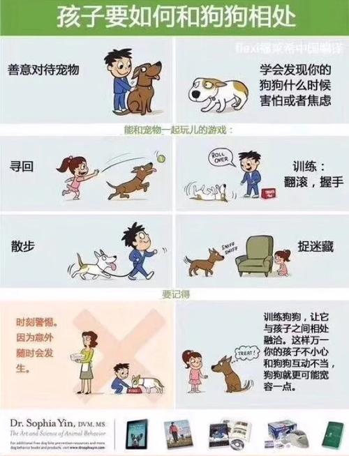 怎么与狗狗相处好