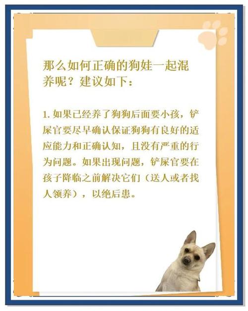 怎么样才能和狗狗相处更好