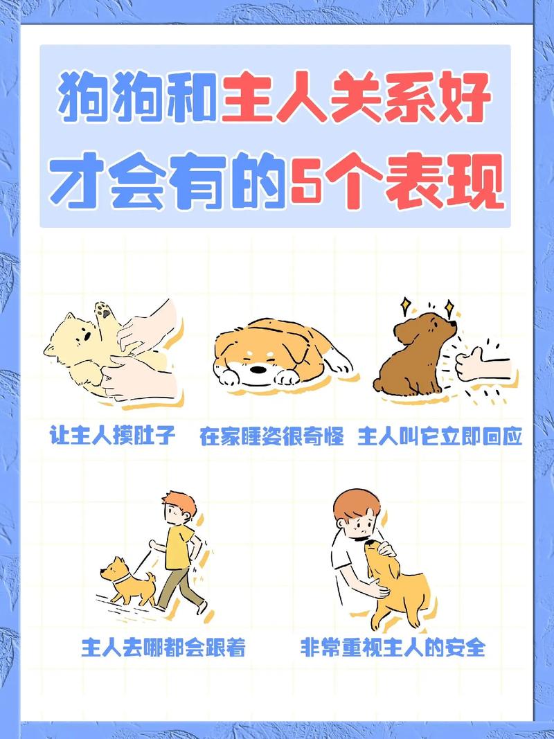 怎么和狗狗培养感情