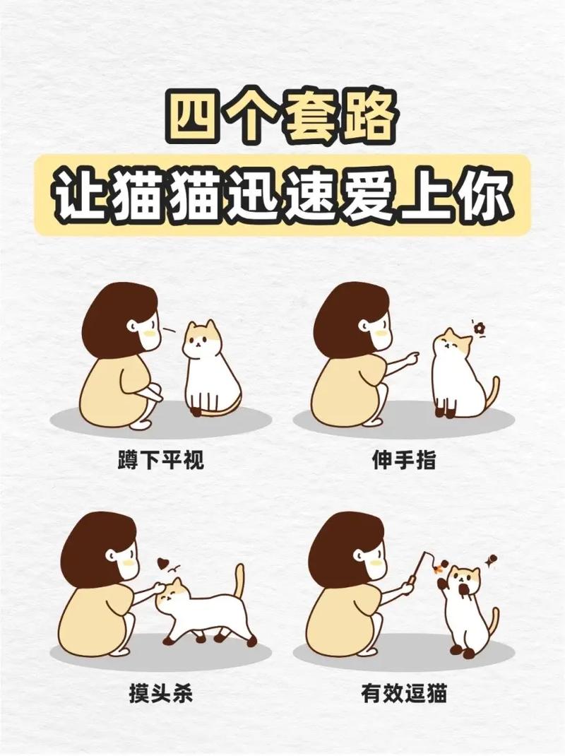 怎么和猫咪有效交流呢?