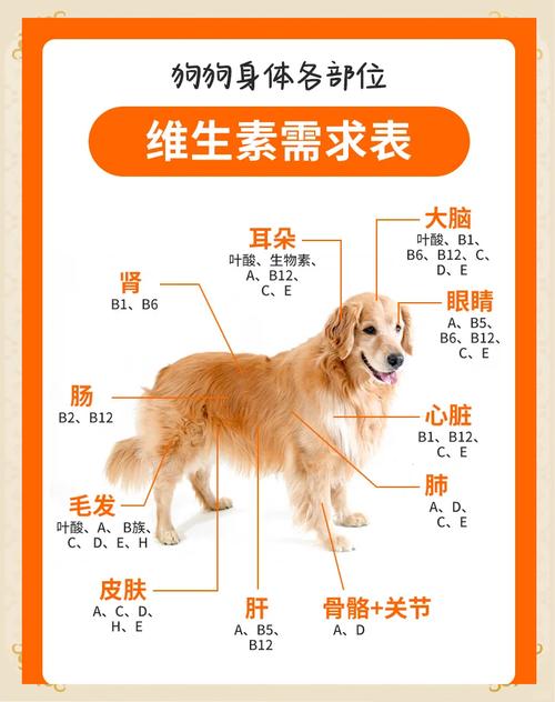 狗狗缺微量元素吃什么