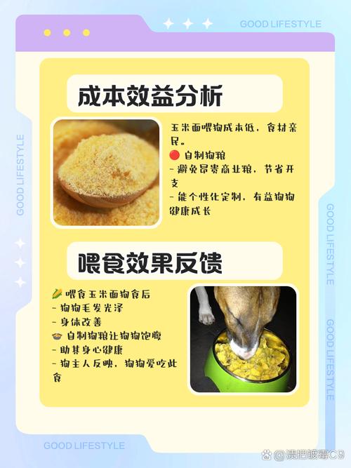 给狗狗吃的玉米面的做法?
