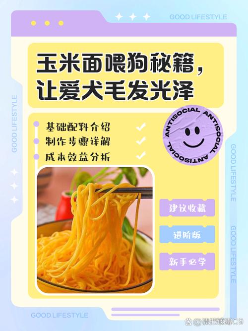 玉米面怎么喂狗有营养