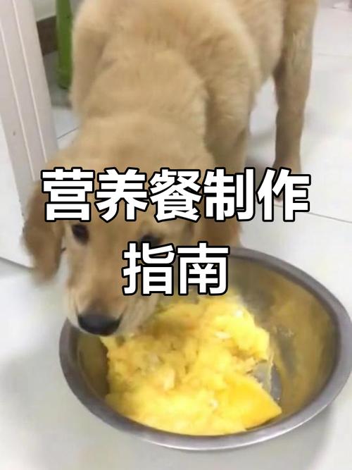 玉米面怎么喂狗