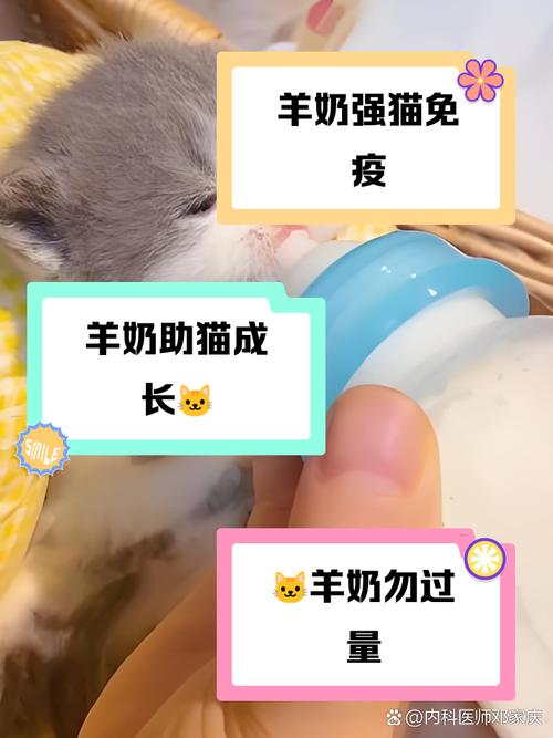 猫咪喝羊奶粉的好处与坏处