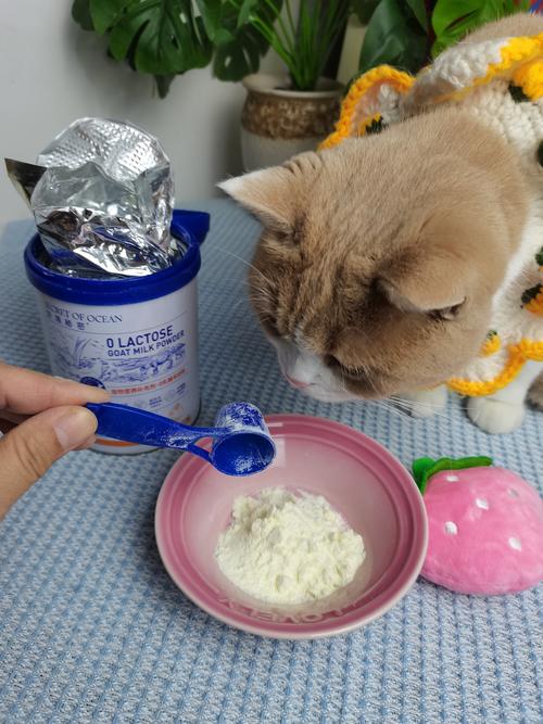 猫咪可以吃人吃的羊奶粉吗?
