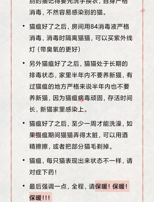 猫瘟七天自愈疗法