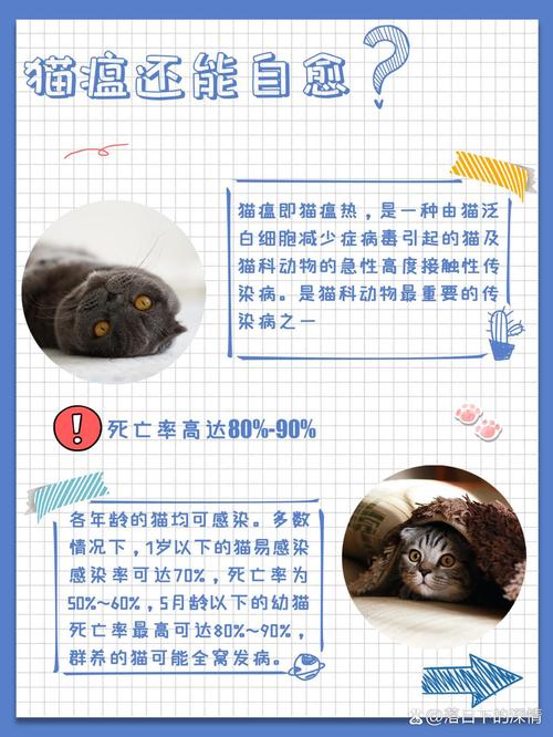 猫瘟能治好吗