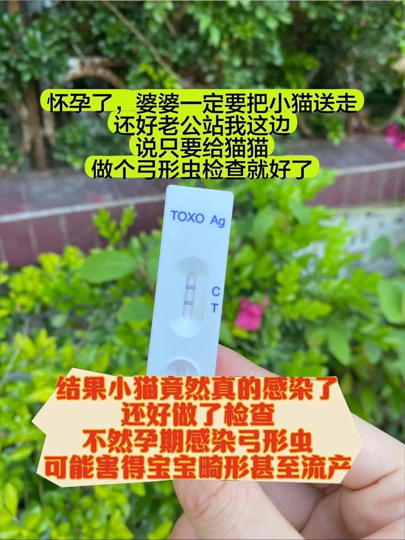 猫弓形虫可以用试纸检查么
