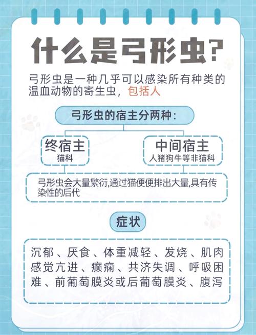 怎么判断猫得了弓形虫