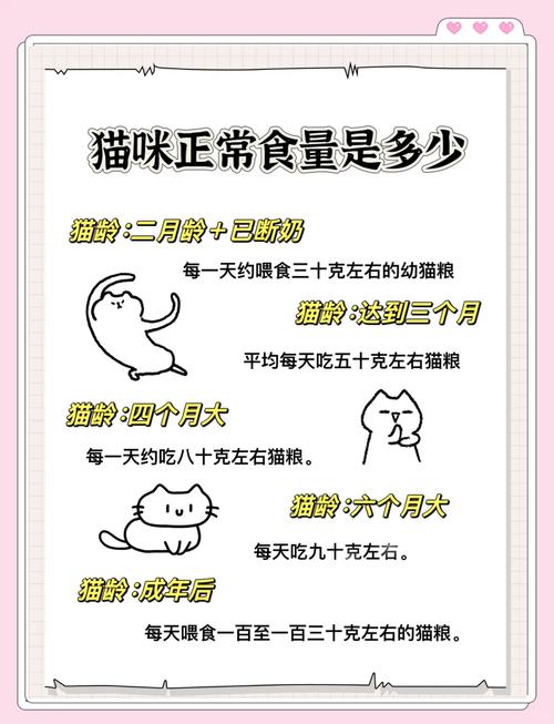 成猫一天吃多少克猫粮正常