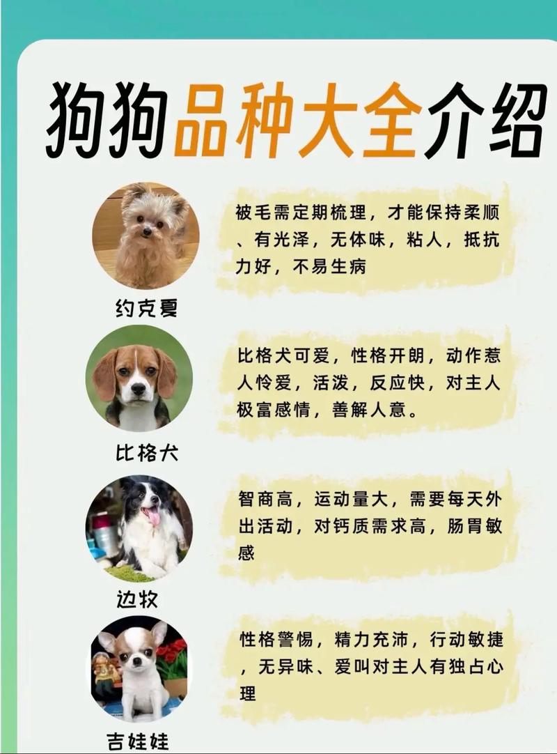 中国常见的狗狗有哪些品种的?