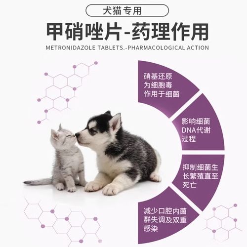 给猫吃甲硝锉多少合适?