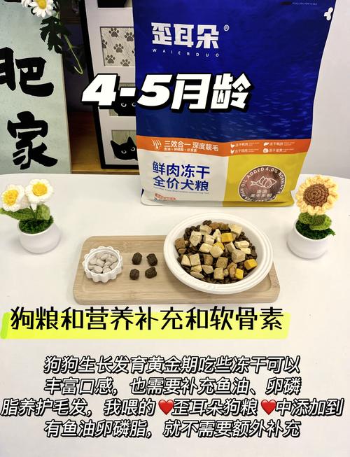 三个月的狗吃什么