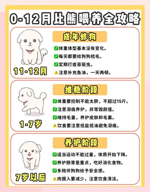 三个月大的小狗狗一天喂几次喂多少水