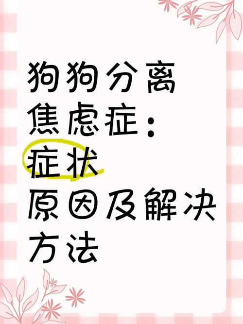 狗分离焦虑症的表现