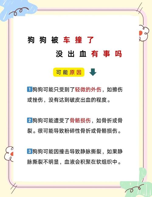 我家狗狗被车撞了,也吃也喝了,就是不拉不尿怎么办?