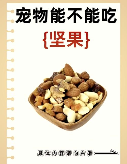 狗狗吃了腰果怎么办