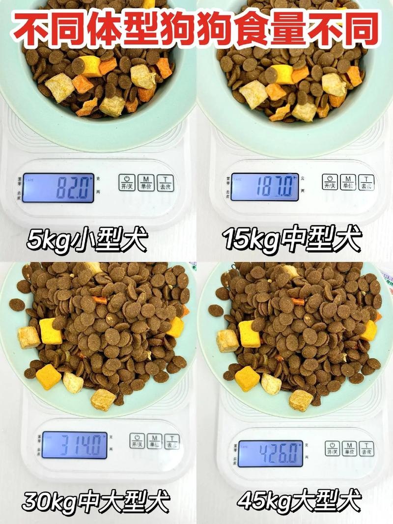 3到4个月狗狗吃多少狗粮