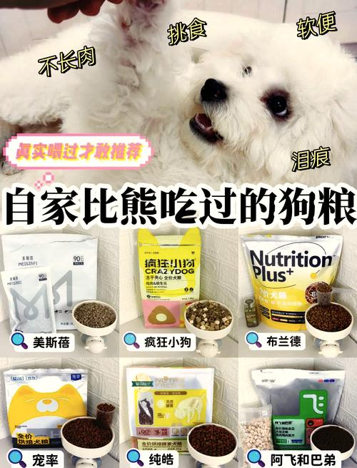 四五个月比熊吃多少狗粮呀