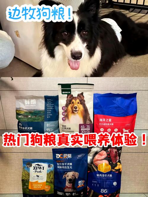 四个月的比熊一次吃多少狗粮?