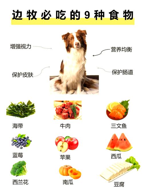 狗可以吃青豆吗