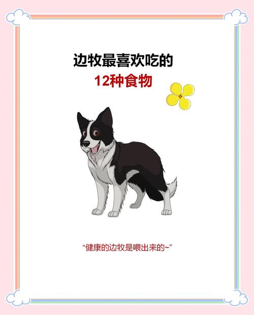 狗狗能吃什么水果蔬菜