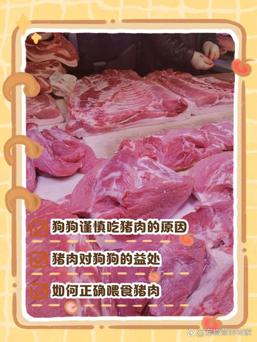 可以天天喂狗狗吃鸡肉或猪肉吗