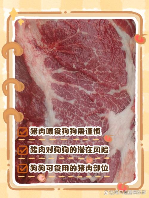 狗狗为什么不吃猪肉啊?