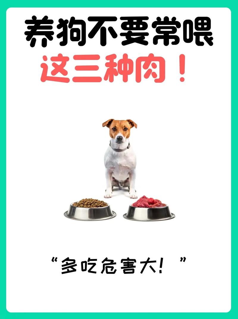 可以给狗狗喂猪肉吗