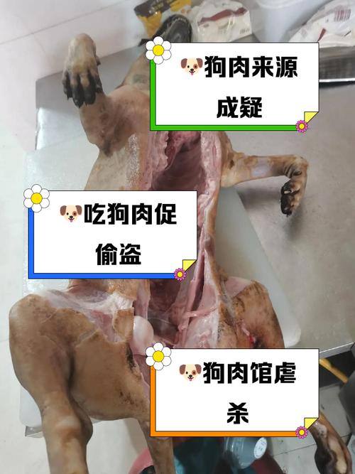 猪肉狗狗为什么不能吃