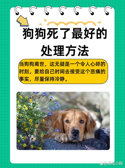 狗狗吃上烟把现在又吐又拉稀该怎么办?