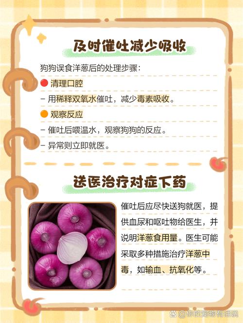 我的三个月大的拉布拉多吃了我的烟