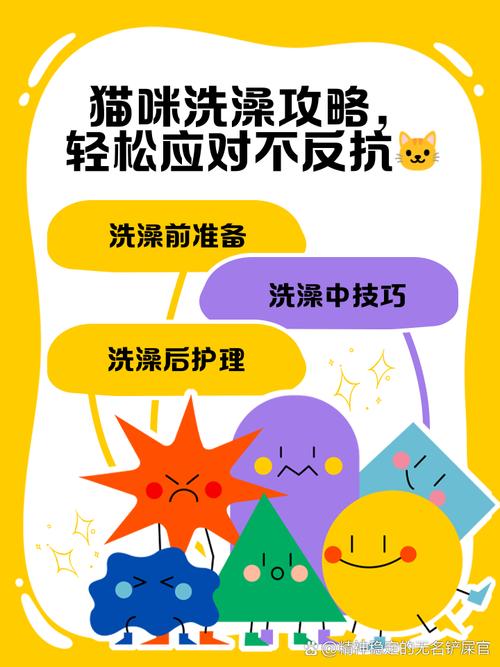 怎么样帮猫猫洗澡,猫猫才不反抗?