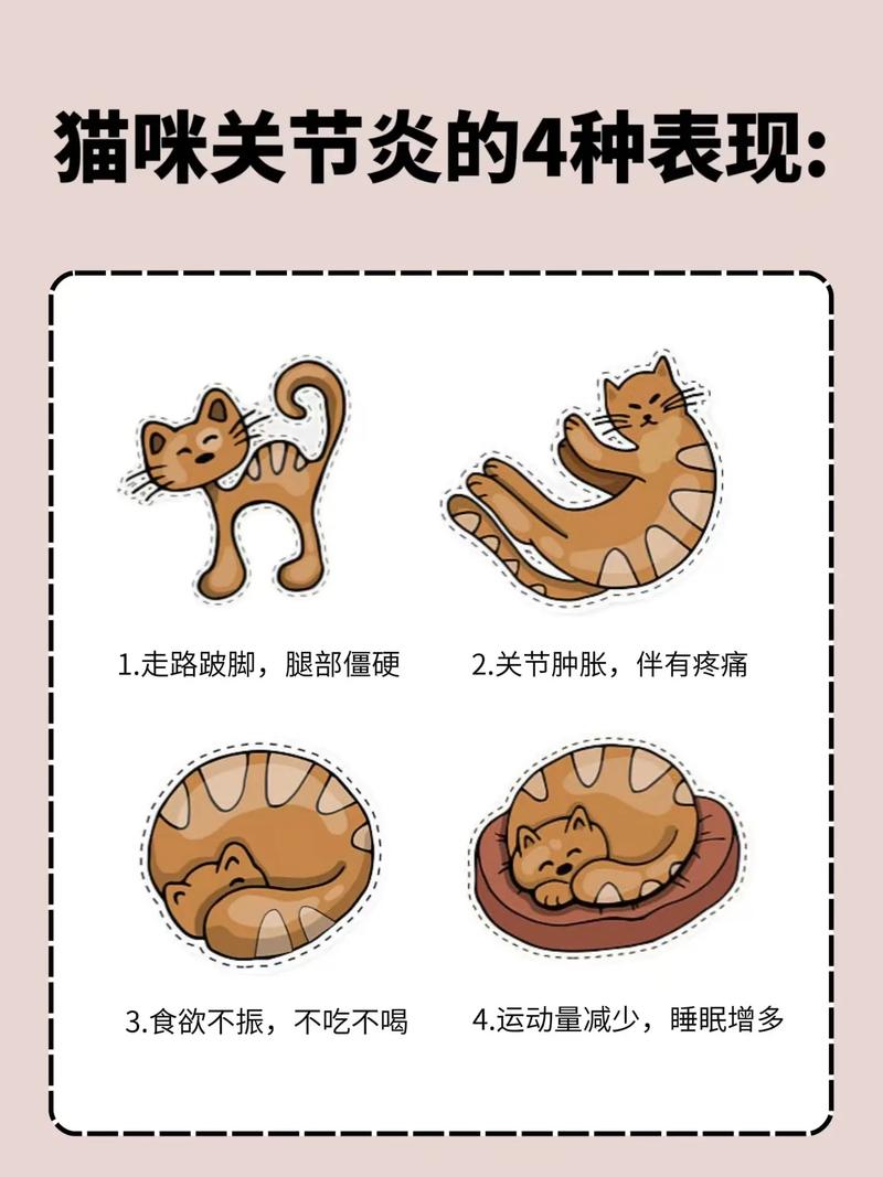 猫咪软骨病