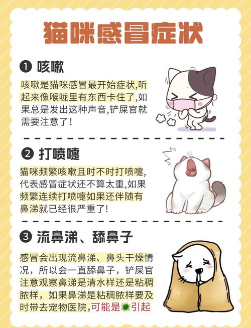 猫感冒一般几天自愈