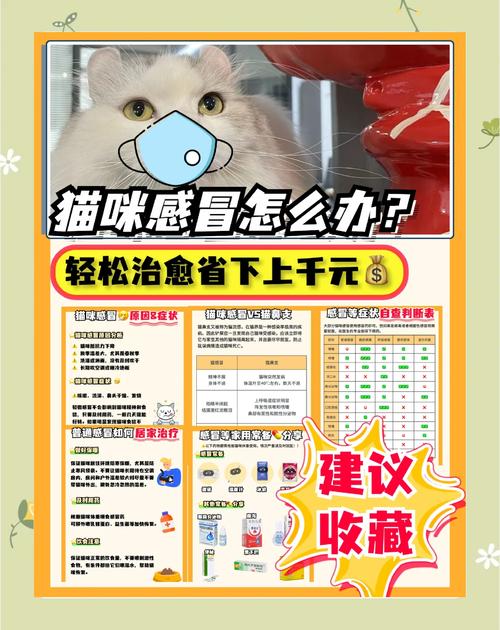 猫咪轻微感冒能自愈吗