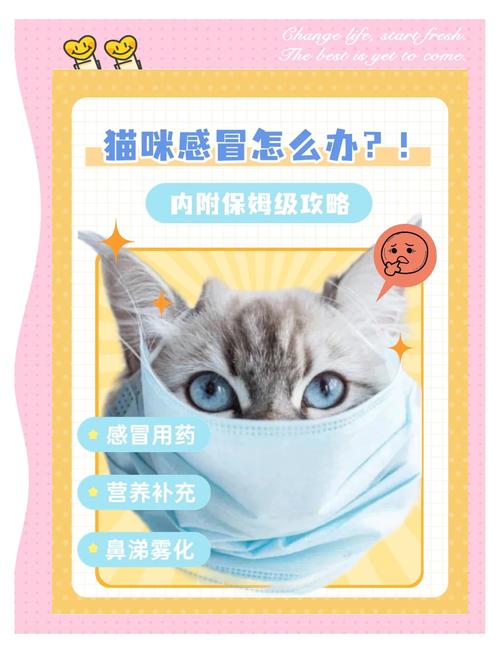 猫咪感冒会自愈吗?