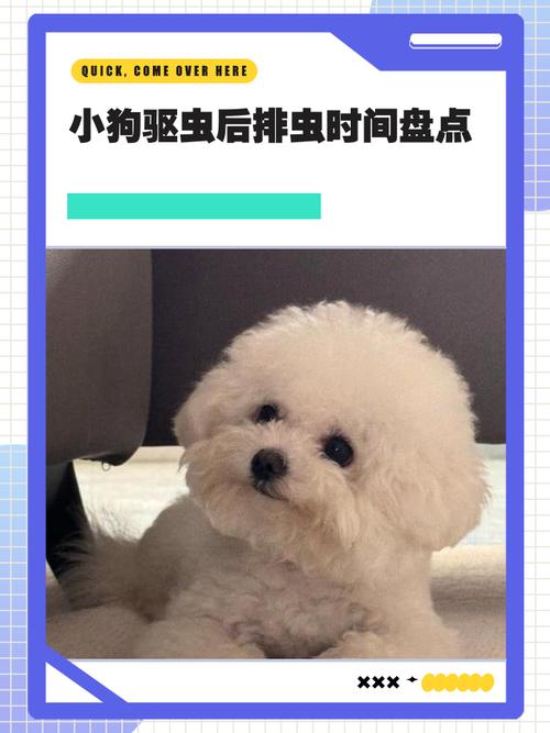 小狗吃了打虫药有什么症状?