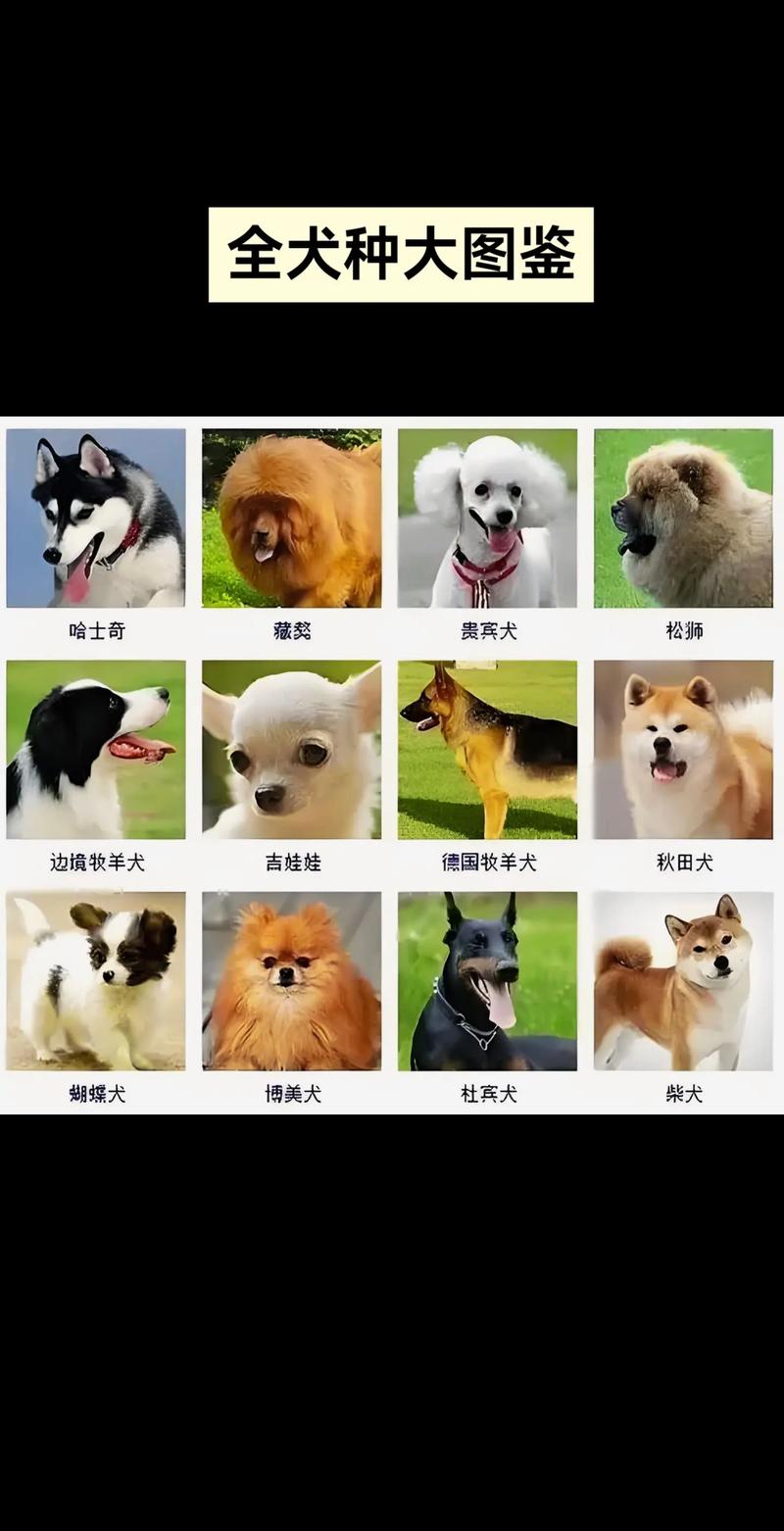 全世界所有狗狗的种类有哪些