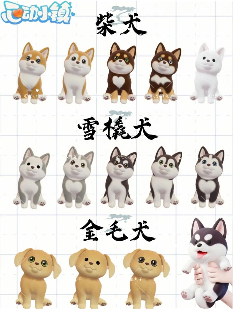 小狗有哪些品种