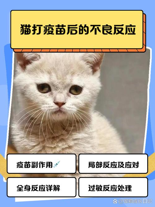 猫打完妙三多有点呼吸急促