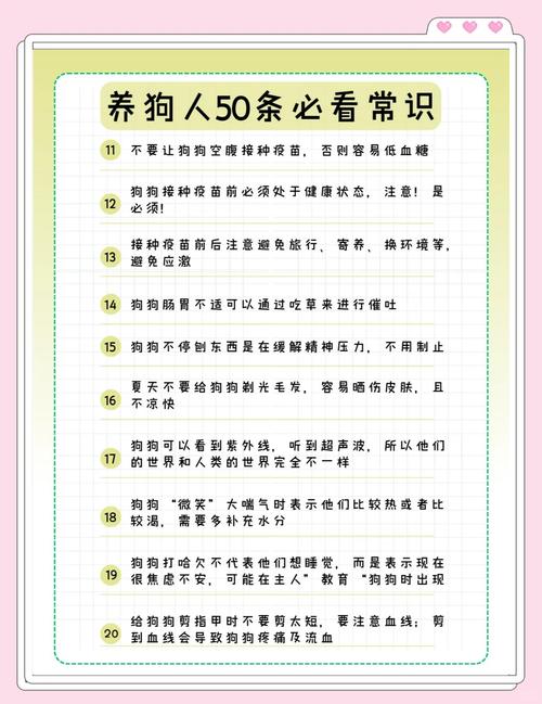 三个月的小狗一天要睡多久正常