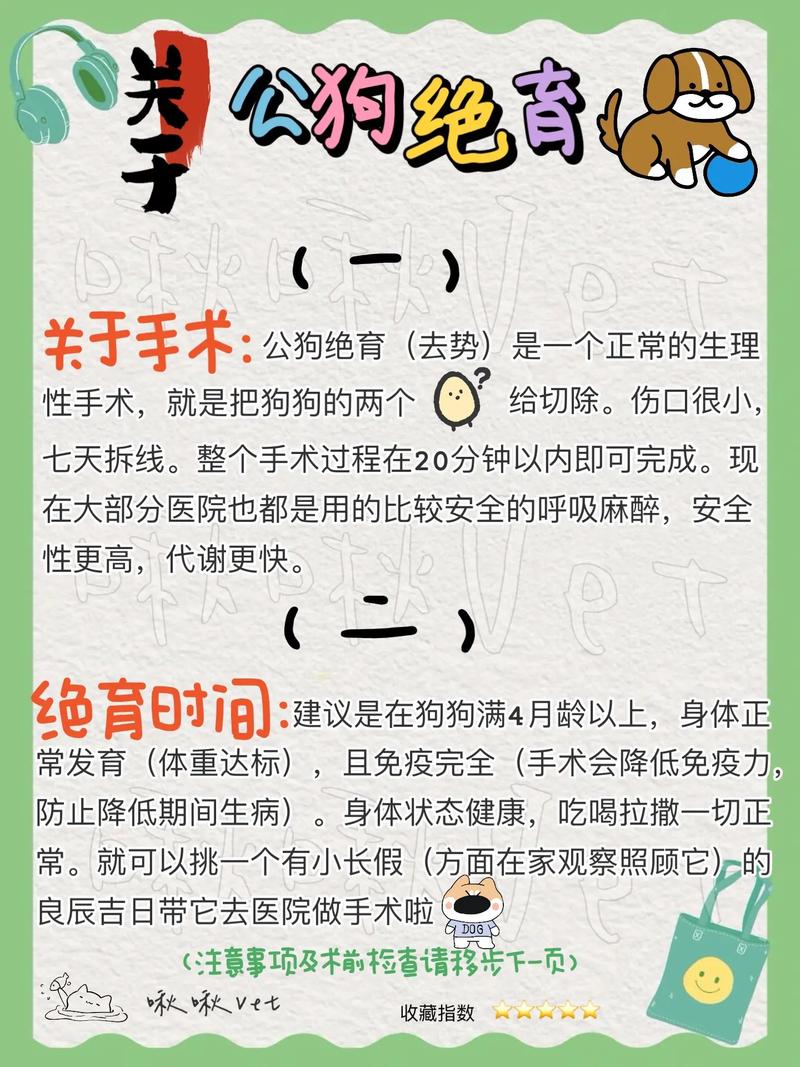 家养狗公有必要做绝育手术吗